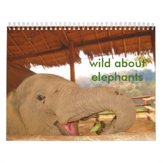 wild about elephants calendar