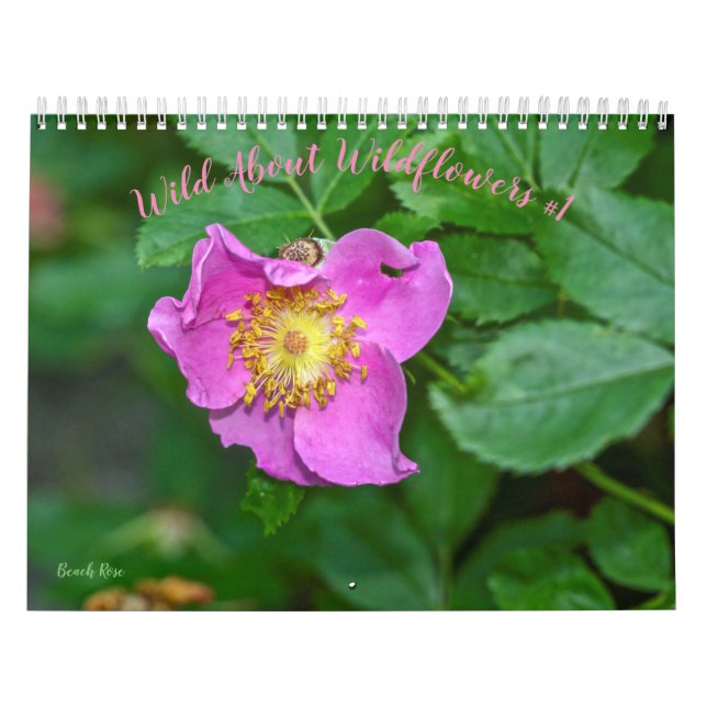 Wild About Wildflowers #1 Calendar (Cover)