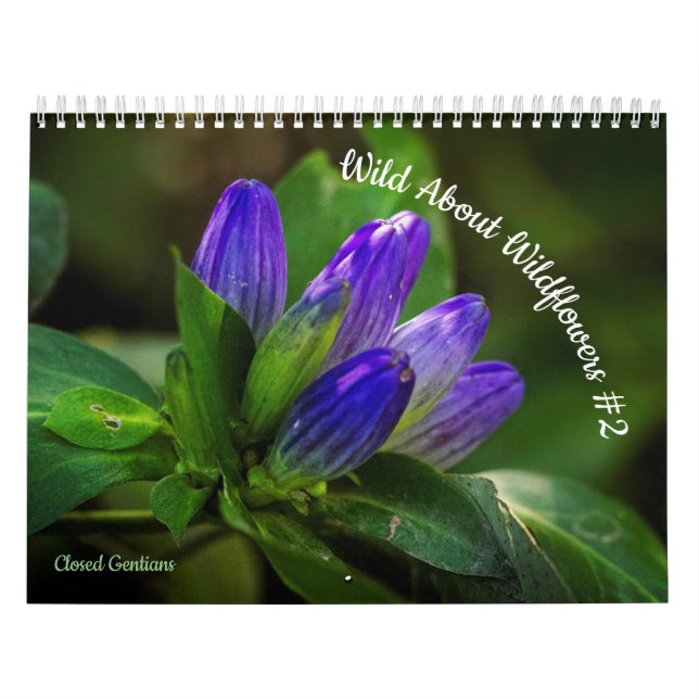 Wild About Wildflowers #2 Calendar (Cover)