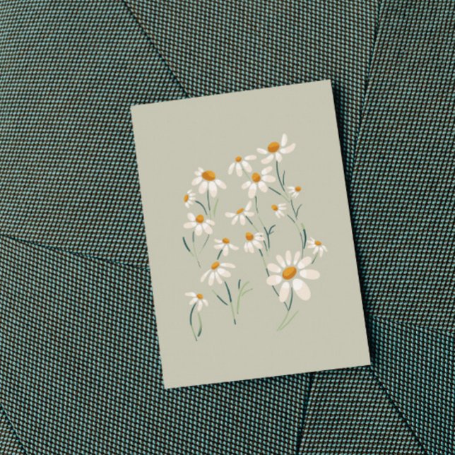 Wild Aesthetic Chamomile Camomile Delicate Flowers (Creator Uploaded)