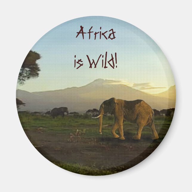 Wild Africa Animal-lovers Big Five Magnet (Front)