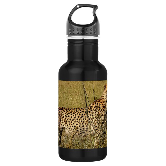 Wild African Cheetah in Savannah Grasses Stainless Steel Water Bottle (Front)