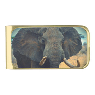 Wild African Elephant Money Clip