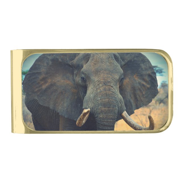 Wild African Elephant Money Clip (Front)