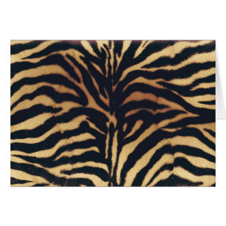 WILD AFRICAN FAUX ZEBRA CARDS