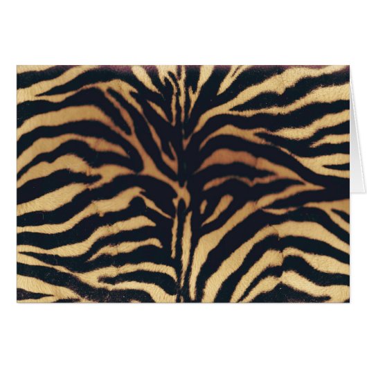WILD AFRICAN FAUX ZEBRA CARDS (Front Horizontal)