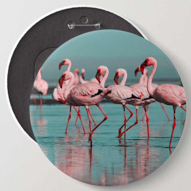 Wild African flamingos Button (Front & Back)