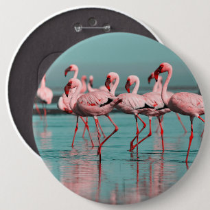 Wild African flamingos Button
