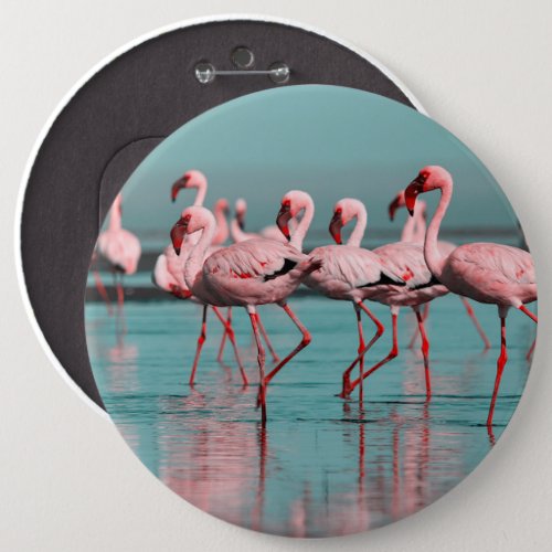Wild African flamingos Button