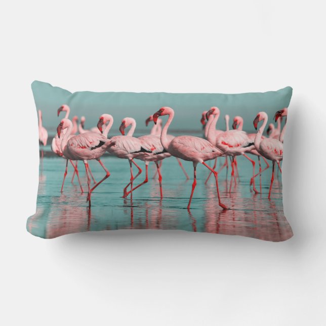Wild African flamingos Lumbar Pillow (Front)