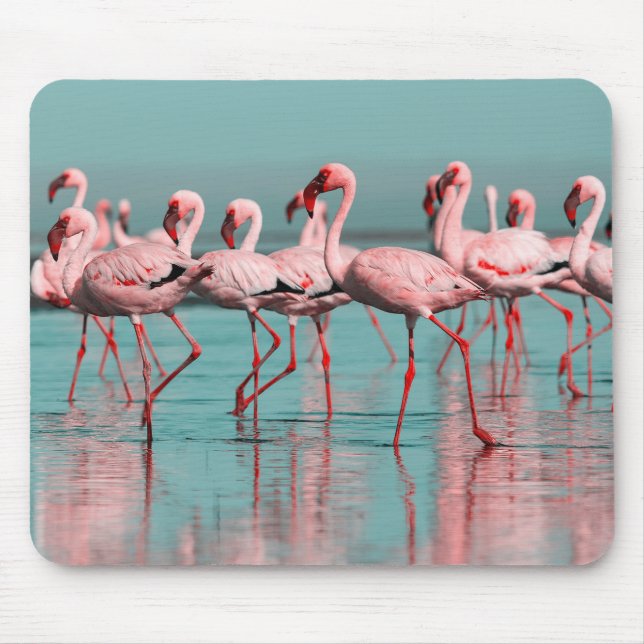 Wild African flamingos Mouse Pad (Front)