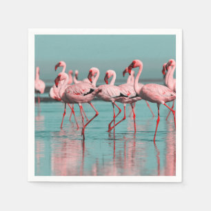 Wild African flamingos Napkins