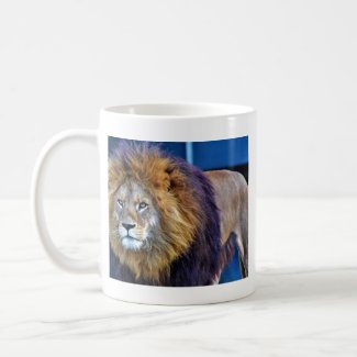 Wild African Lion Can Cooler Coffee Mug