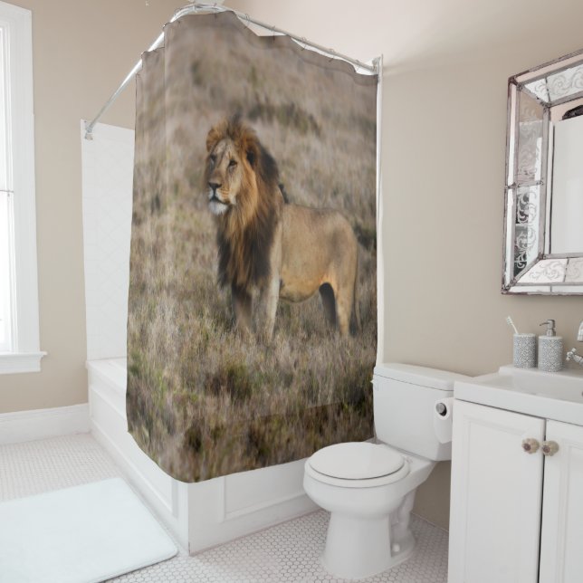 Wild African Lion Shower Curtain (In Situ)