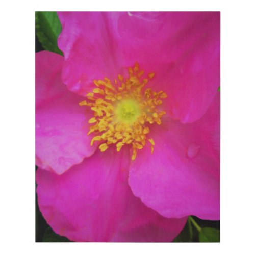 Wild Alberta Rose Bright Pink After Summer Rain Faux Canvas Print