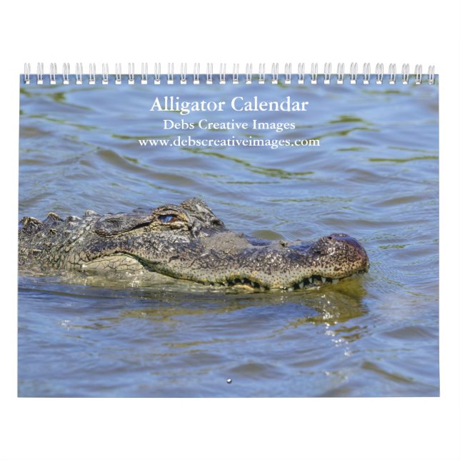 Wild Alligators in Florida 2026 Calendar (Cover)