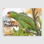 Wild Amazon Parrot Bird Magnetic Birthday Card