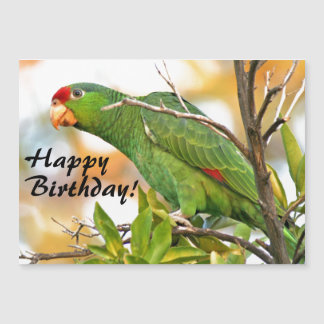 Wild Amazon Parrot Bird Magnetic Birthday Card