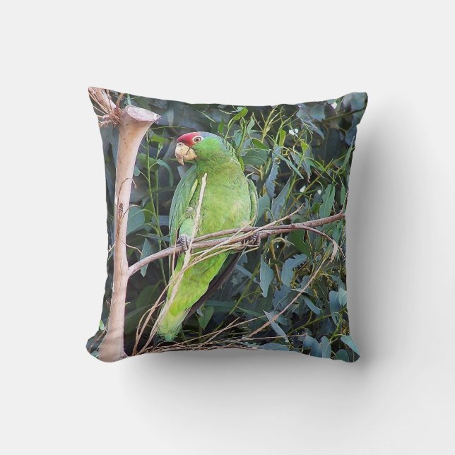Wild Amazon Parrot Pillow (Front)