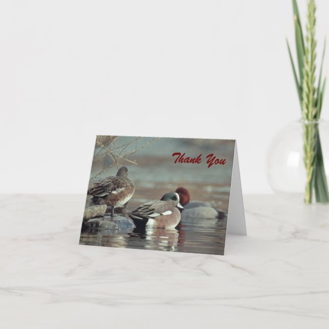 wild american wigeon duck, Thank You Note Card (Front)