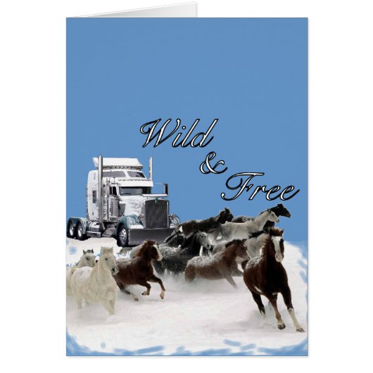 Wild &amp; Free Cards (Front)