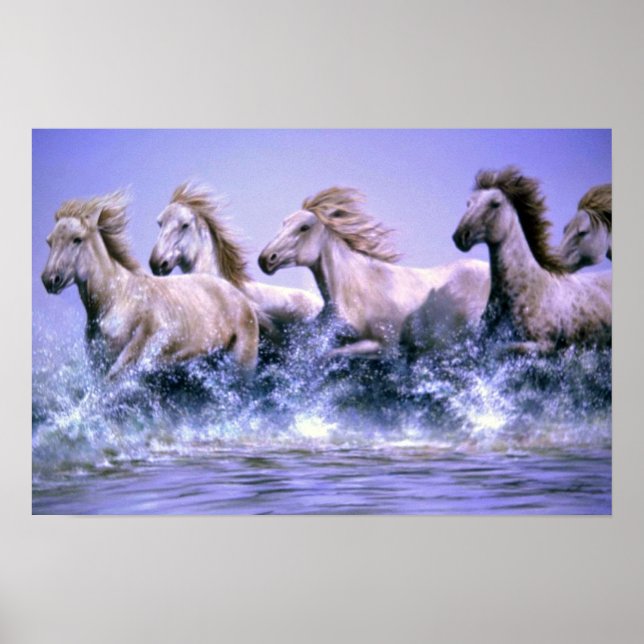 Wild and free, Camargue Horses Poster (Front)