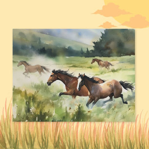 Wild and Free Horse Postcard