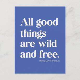 Wild and Free Inspirational Positivity Quote Blue Postcard