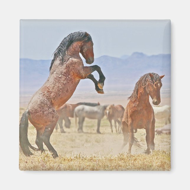 Wild and Free magnet (Front)