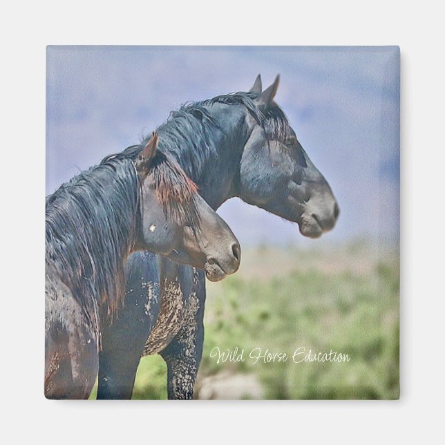 Wild and Free, Magnet (Front)