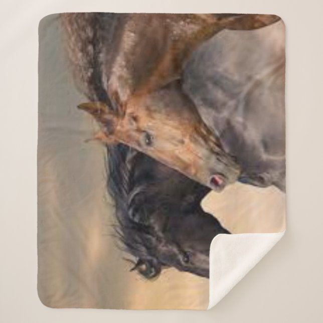 Wild and Free Sherpa Blanket (Front)