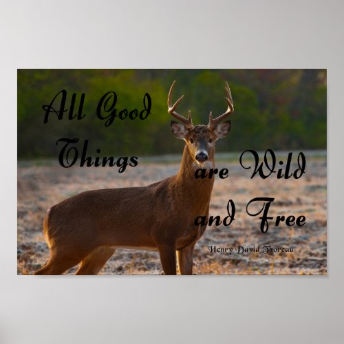 Wild and Free Thoreau Poster