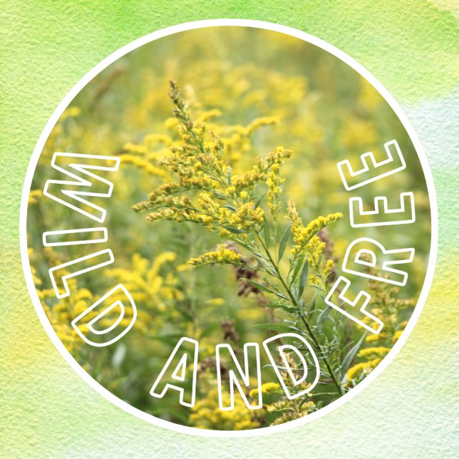 Wild and Free Wildflowers Self-Confidence Window Cling (Creator Uploaded)