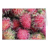 Wild and Wooly Rambutan (Front Horizontal)