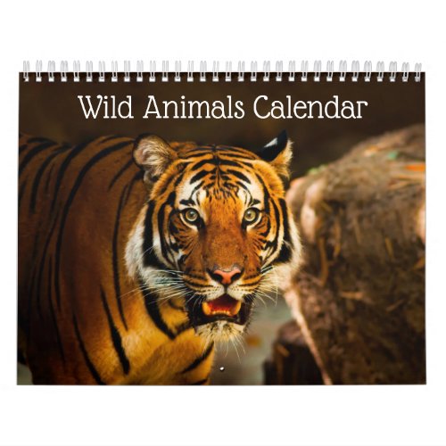 Wild Animal Calendar