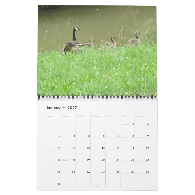 Wild Animal Calendar (Jan 2027)