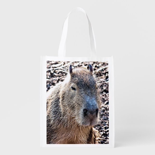 WILD ANIMAL CAPYBARA GROCERY BAG (Front)