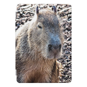 WILD ANIMAL CAPYBARA iPad PRO COVER