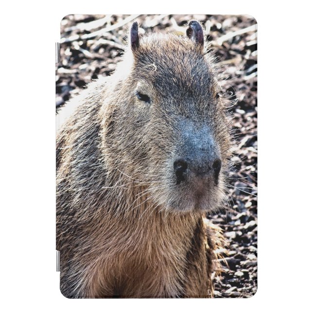 WILD ANIMAL CAPYBARA iPad PRO COVER (Front)