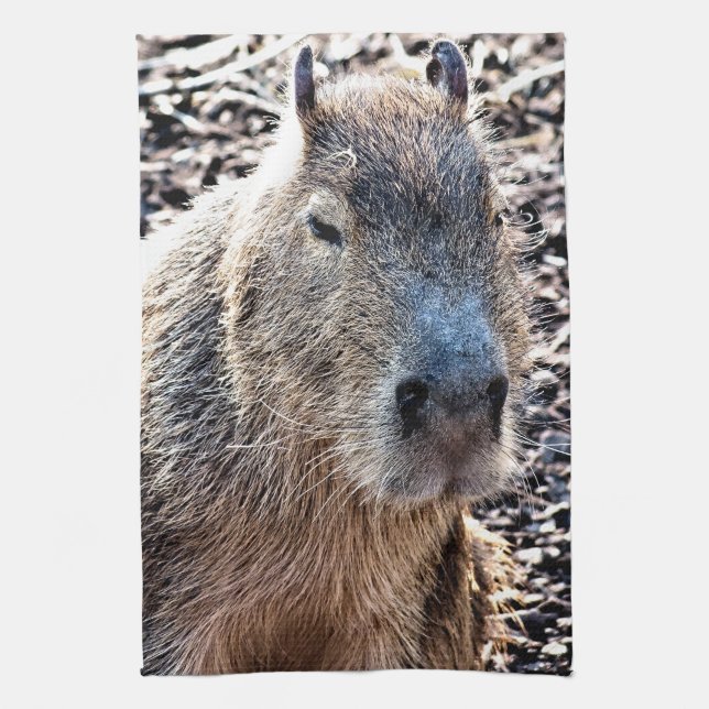 WILD ANIMAL CAPYBARA KITCHEN TOWEL (Vertical)