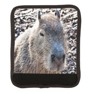 WILD ANIMAL CAPYBARA LUGGAGE HANDLE WRAP
