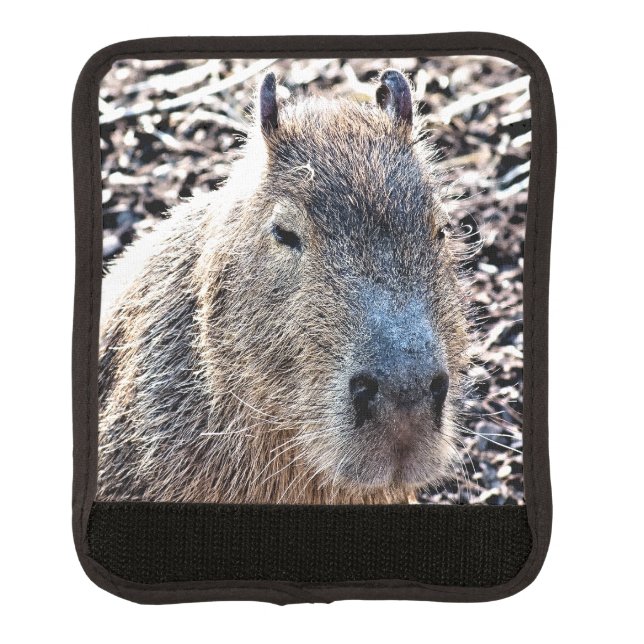 WILD ANIMAL CAPYBARA LUGGAGE HANDLE WRAP (Front)