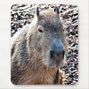 WILD ANIMAL CAPYBARA MOUSE PAD