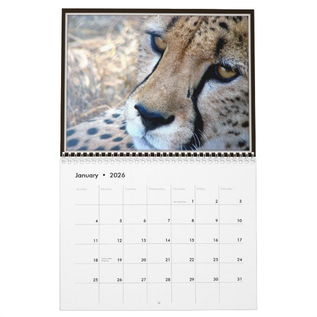 Wild Animal Faces Calendar (Jan 2026)