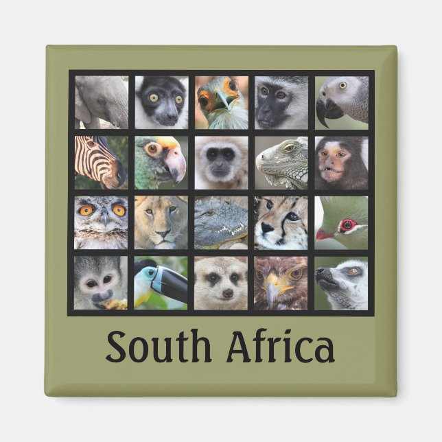 Wild Animal Faces -- Mammals, Reptiles, Birds Magnet (Front)