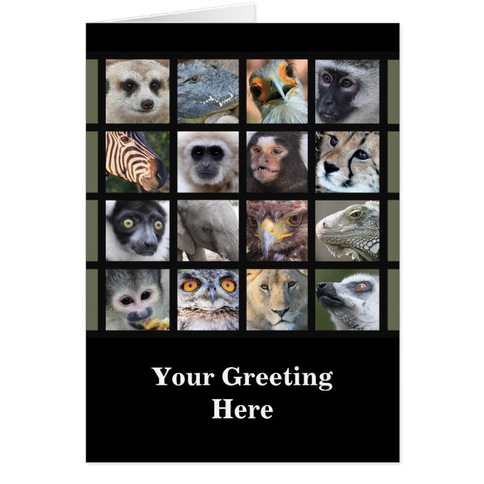 Wild Animal Faces (v2)    Mammals, Reptiles, Birds Greeting Cards