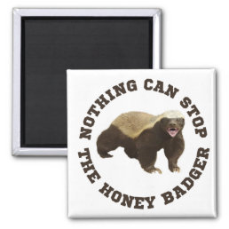 Wild Animal Honey Badger Funny  Magnet