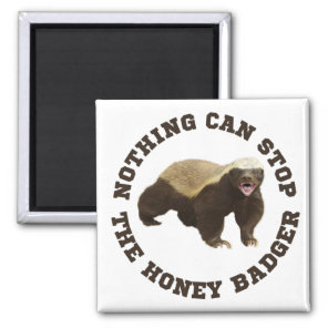 Wild Animal Honey Badger Funny  Magnet