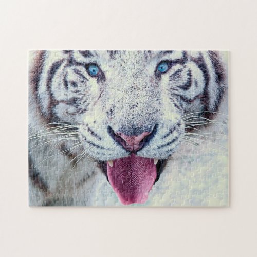 Wild Animal Jigsaw Puzzles Close Up White Tiger Jigsaw Puzzle