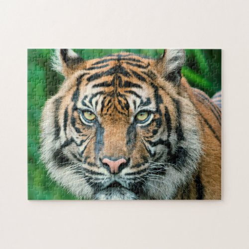 Wild Animal Jigsaw Puzzles Tiger Jigsaw Puzzle